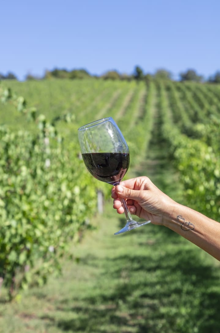 Azienda Agricola Colombina Bertinoro bicchiere