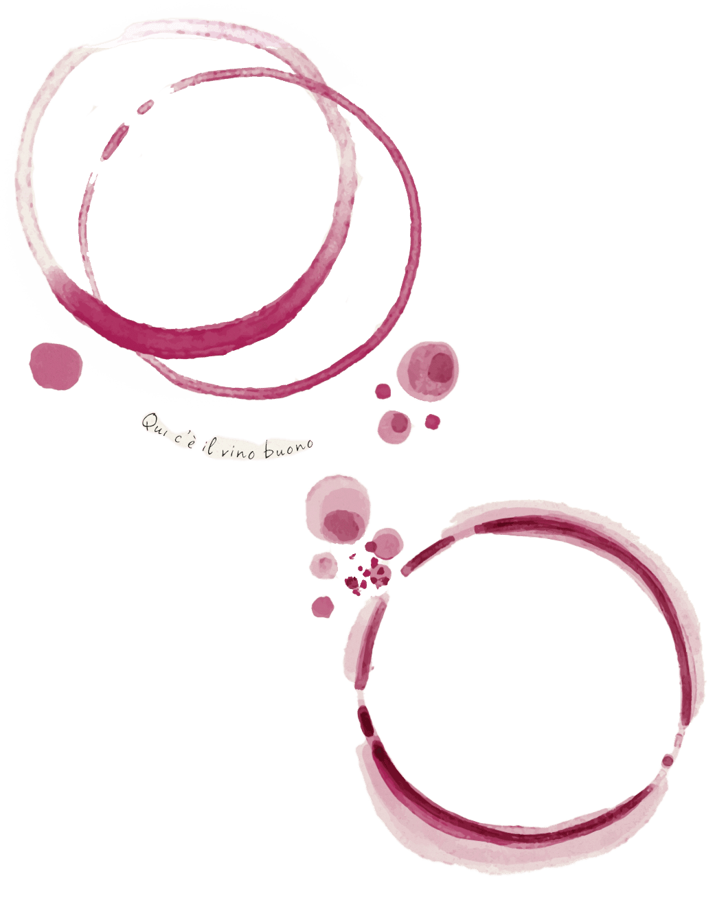 Azienda Agricola Colombina Bertinoro macchina vino