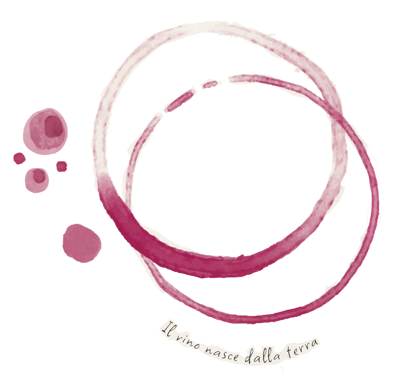 Azienda Agricola Colombina Bertinoro vino colato schizzo