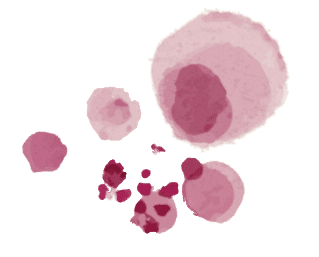 Azienda Agricola Colombina Bertinoro vino colato