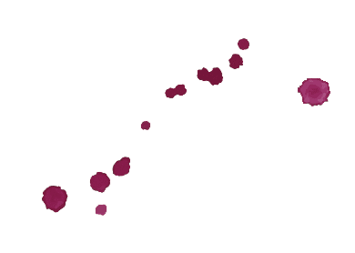 Azienda Agricola Colombina Bertinoro vino macchia