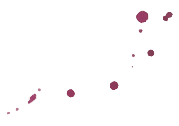Azienda Agricola Colombina Bertinoro vino rosso macchia